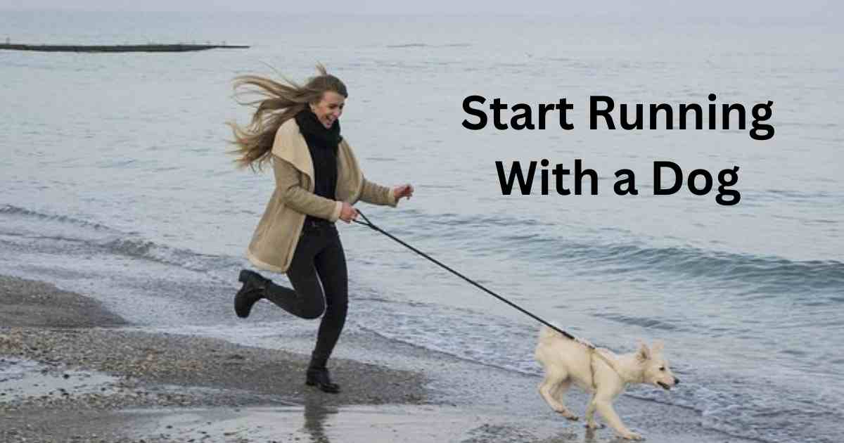 how to start running with a dog