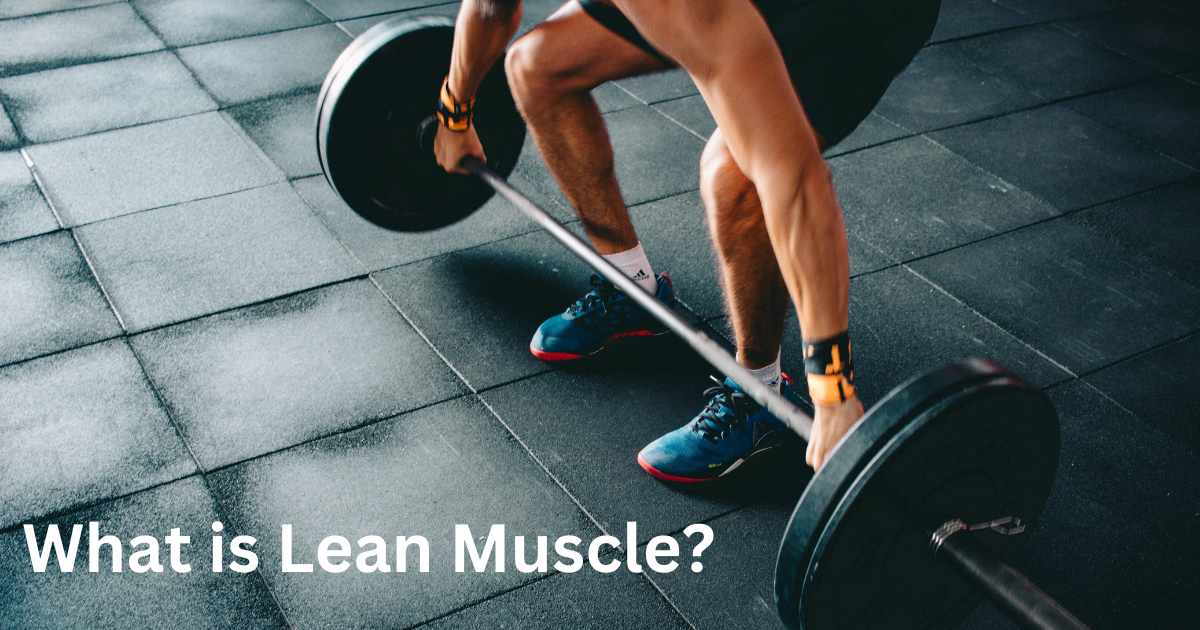 How to Build Lean Muscle?