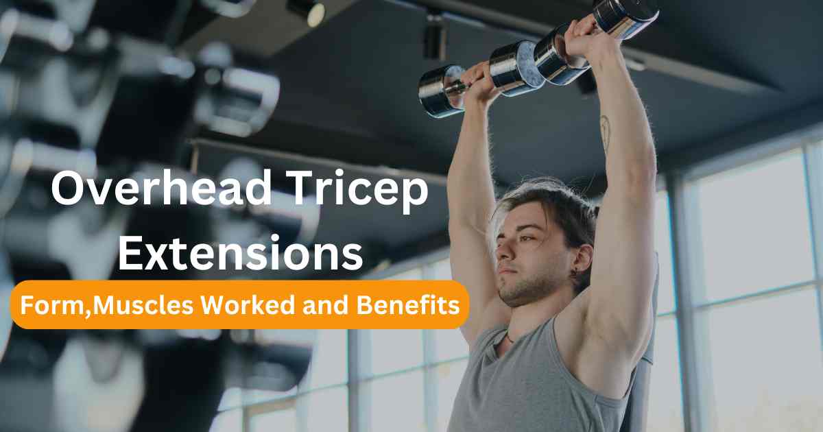 Overhead Tricep Extensions