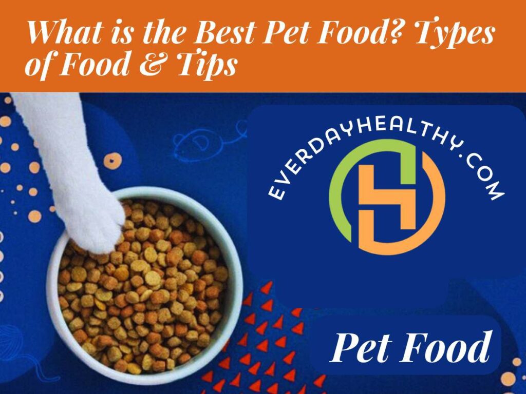What is the Best Pet Food? Types of Food & Tips